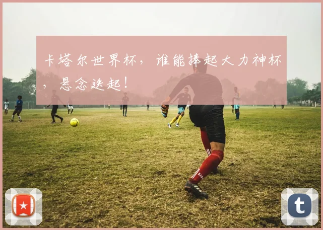 卡塔尔世界杯，谁能捧起大力神杯，悬念迭起！